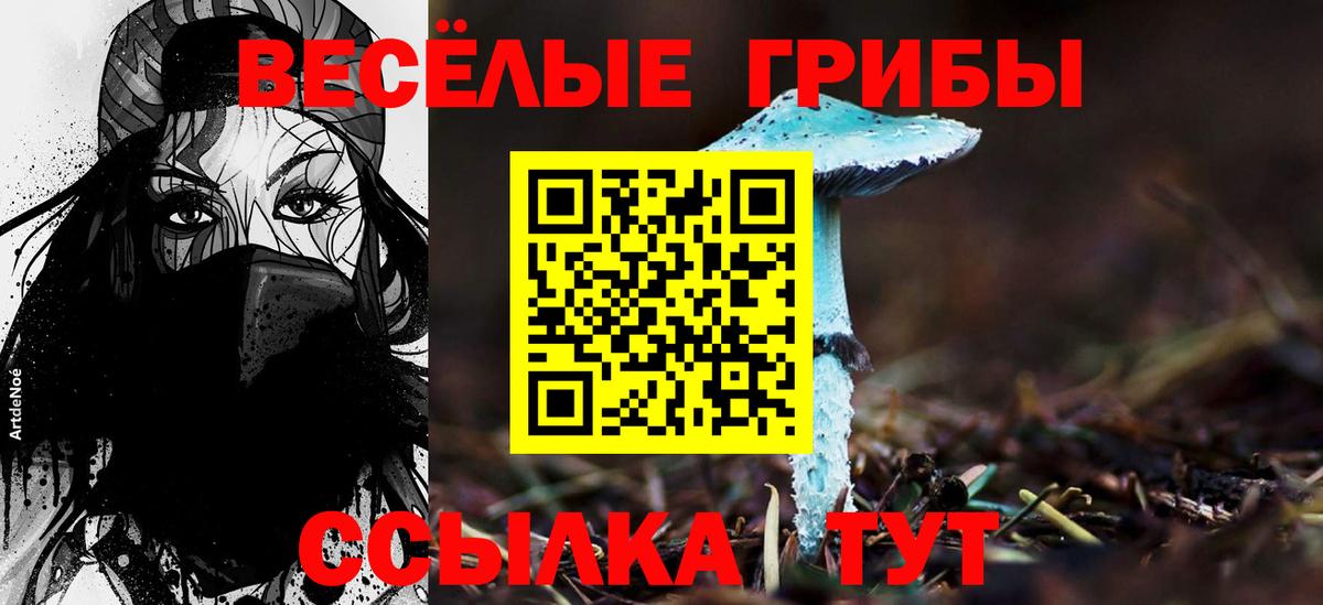 Галлюциногенные грибы GOLDEN TEACHER Серпухов